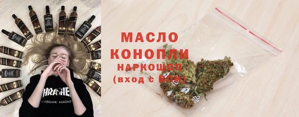 гидра Бородино
