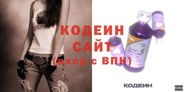 дживик Тында