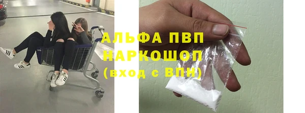 гидра Бородино