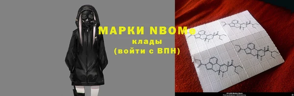 гидра Бородино