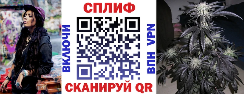 Купить где Талица Каннабис THC 21%